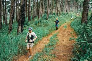 BIB: 
                            <button type="button" onclick="openModal(25654262)" class="btn btn-primary btn-sm float-right btn-popup" data-toggle="modal" data-target=".modal-high-quality">
                        <i class="fas fa-shopping-cart"></i> Add to Cart
                    </button>
                                            <button type="button" onclick="isThisMe(25654262, true)" class="btn btn-success btn-sm float-right btn-popup btn-isme hidden" data-toggle="tooltip" data-placement="bottom" title="นี่คือรูปของคุณใช่ไหม คลิกที่นี่เพื่อเอาเข้าอัลบั้ม">
                        <i class="fas fa-plus"></i> Add to album
                    </button>
                    <button type="button" onclick="isThisMe(25654262, false)" class="btn btn-warning btn-sm float-right btn-popup btn-isnotme hidden">
                        <i class="fas fa-ban"></i> Remove from album
                    </button>